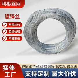 厂家生产镀锌丝建筑工地绑丝镀锌铁丝冷拉DIY手工细丝家用铁线丝