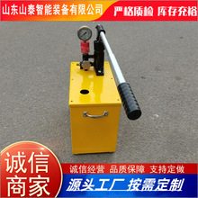 原厂出售手动管路检漏仪 水管道打压试压机 可定制管道水压测压泵