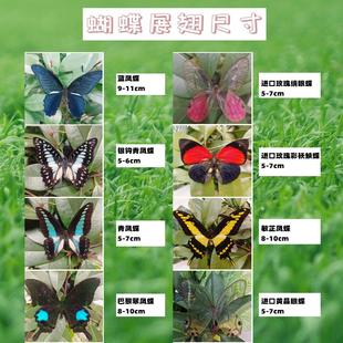 ??������˱�ԭ�����lä��δչ��С���x���ֽ̌Wdiy�ֹ������W