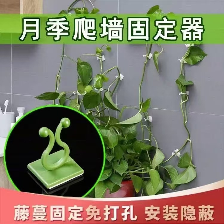 Rose Vine Fixer for Climbing Roses, Green Plants, Anti-Tip Wall-Mounted Indoor Adhesive Clip for Climbing Walls
