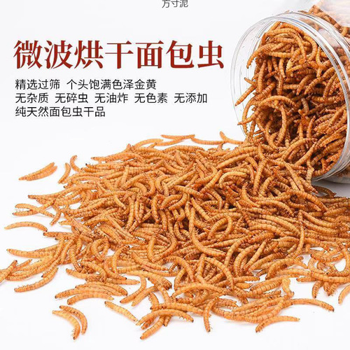 Bread Insect Dried Yellow Mealworm Dried Hamster Food Turtle Food Fish Food Magpie Bird Food Rutin Chicken Feed Pet Snacks Factory
