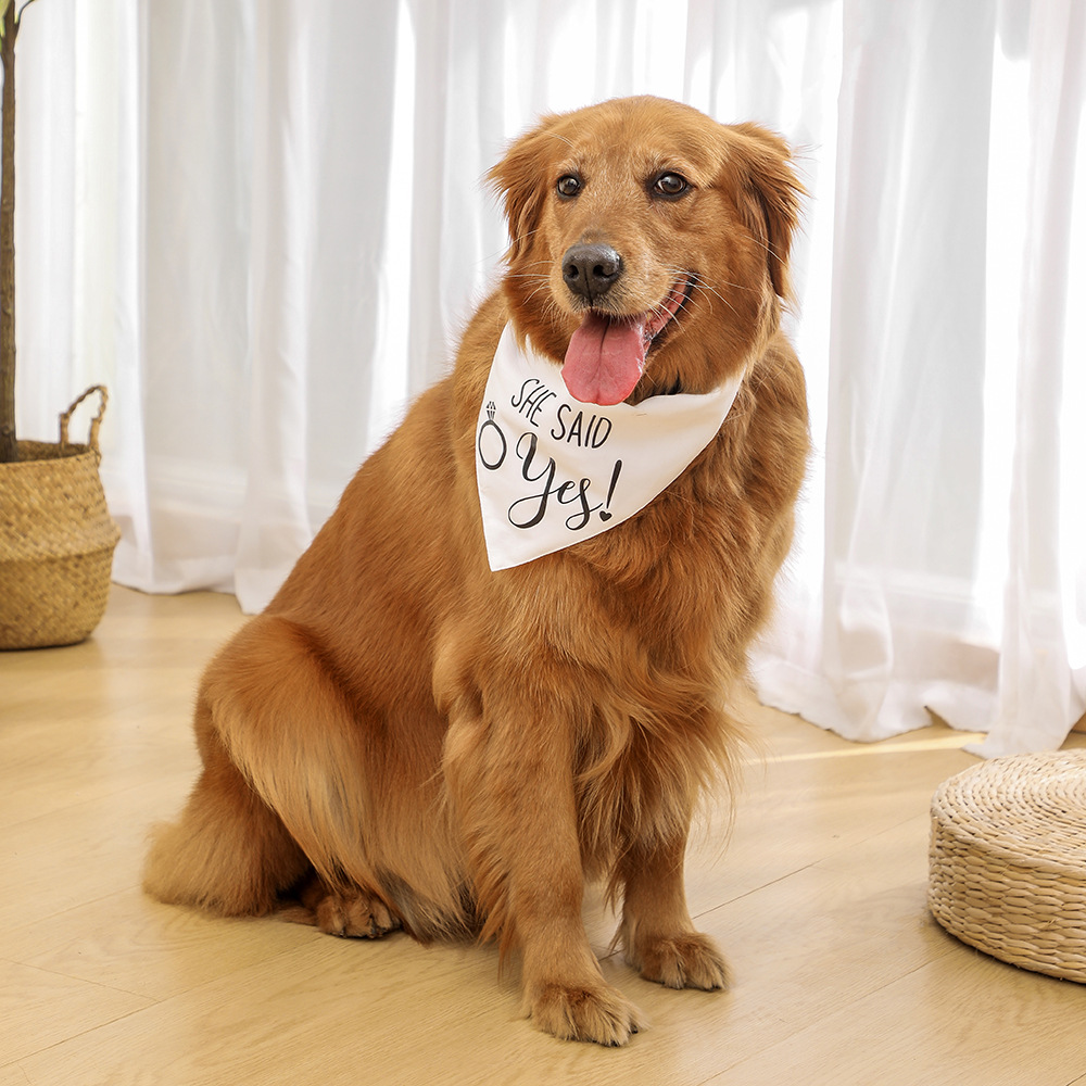 Εργοστάσιο Σημείο Διασυνοριακά Για  Εκρήξεις Γάμος Τρίγωνο Ζώο Ζώο Φουλάρι Ζώο Φουλάρι Τρίγωνο Πετσέτα Σκύλος Τρίγωνο display picture 4