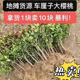 发夹;家务手套;运动休闲棉袜