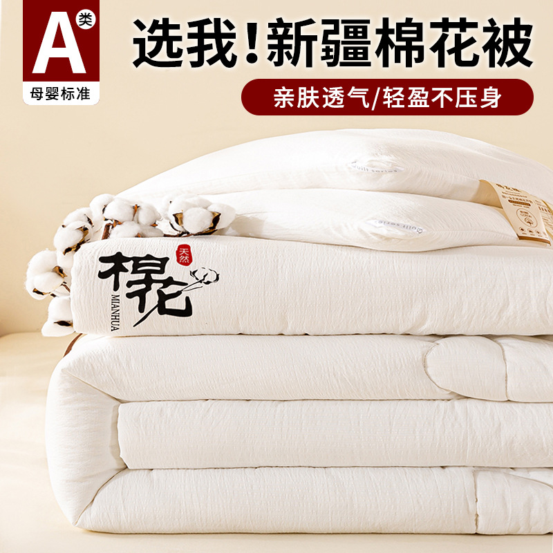 New Class a Quilt Containing Cotton Fiber Quilt Core Winter Quilt Spring & Fall Quilt Winter Quilt Double-Layer Yarn Student Quilt