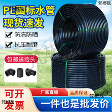 peԁˮ420ˮ 25 32ˮˮܟӲܺù