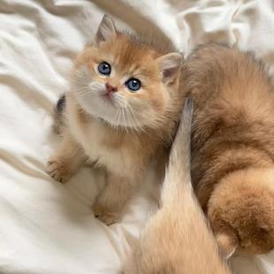 ؈����w��u����؈���w��ë��u����؈���w�{��u��؈؈��