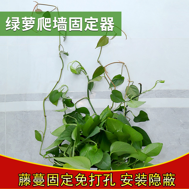Green Ivy Wall Climbing Device, Green Vine Fixing Bracket, Climbing Hook Green Ivy Hanger, Green Plant Anchor with No-Trace Greenery Holder