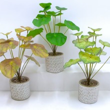 �����辰12�~�Gֲ���s���W�L�ٻ�����Gֲ����С�����k���҃ȿ͏d