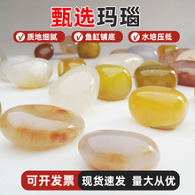 F؛ɫʯˮʯ~b[껨ʯZʯ