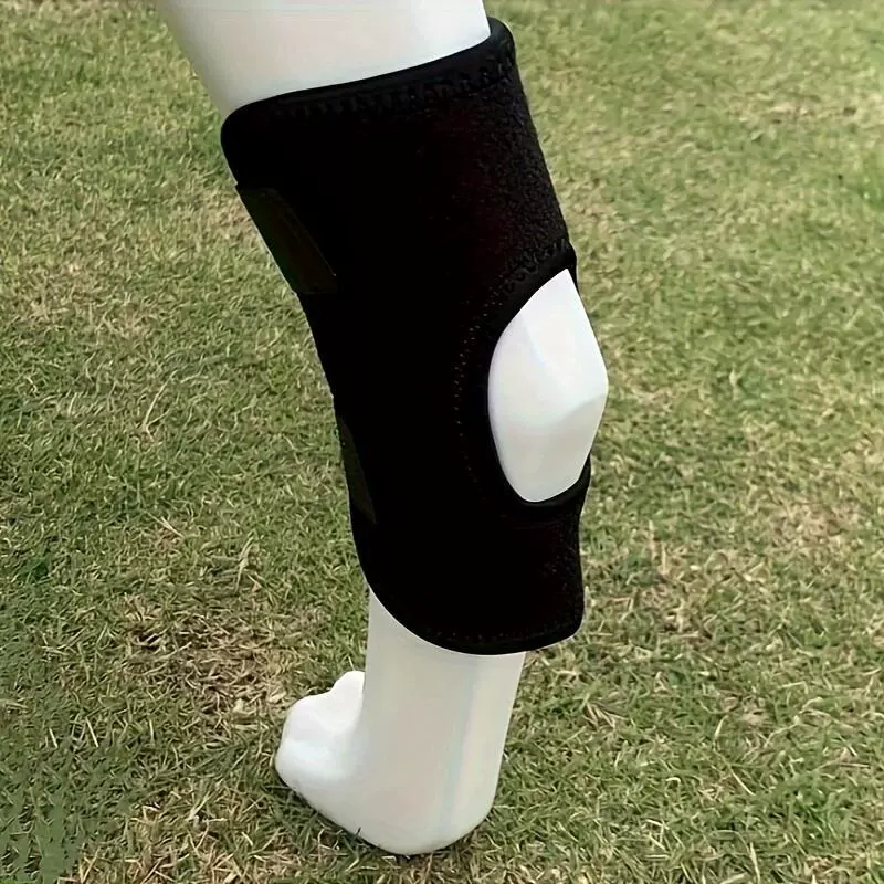 Ущербления для ног собаки Ущербления для домашних животных Травмирование ног