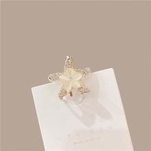 ������Сץ�A�����^�߼�����l����С̖�����A��߅�l�A����A��