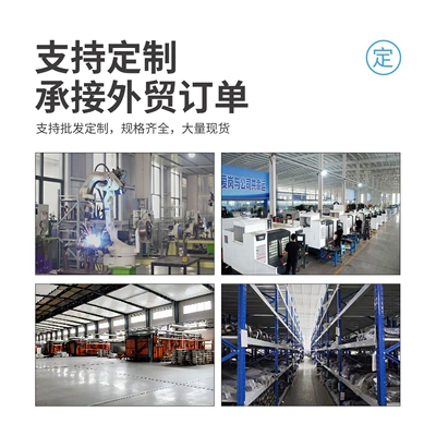 Katalizator from the Manufacturer, Suitable