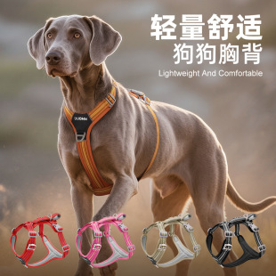 �羳���������K�����_�����ر������ⷴ����ĥ�p�����������ر�