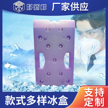 厂家批发2000ml低温冰盒 冷冻冰排 深冻冰板保温箱速冻速冷便携