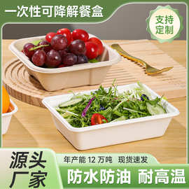 工厂直销环保可降解可堆肥定制一次性餐具甘蔗浆纸浆沙拉轻食方盒