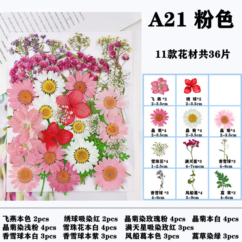 干花压花材料包 diy押花相框书签滴胶手机壳脸部贴花真花植物标本|undefined