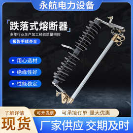 跌落式熔断器变压器令克开关保险管HRW12-15/200硅胶户外熔断器