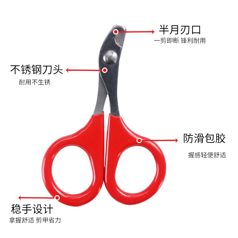 Suministros para mascotas Amazon popular gato cortaúñas Acero inoxidable pequeño PET cortaúñas gato belleza herramientas