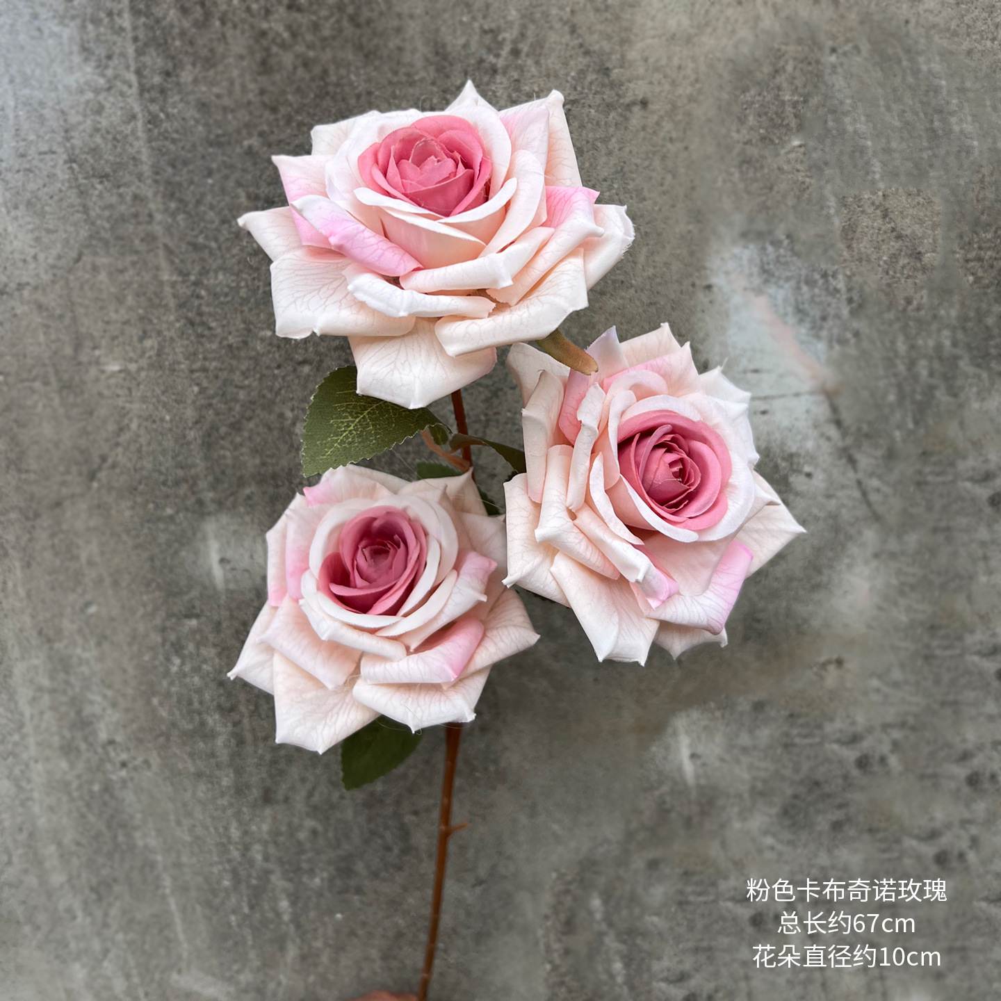 핑크 카푸치노 장미