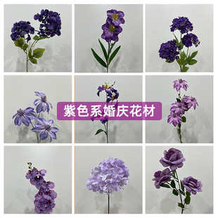 ��ɫϵ���滨�Ļ�c��Y�bٻ��̈�������ꐲ���·���廨���l