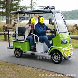 其他电动车;电动三轮车;其他非机动车