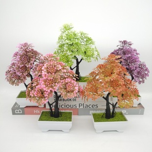 ����Gֲ����[�����ϙѻ����辰�M�òʼ��������������ٻ��b�