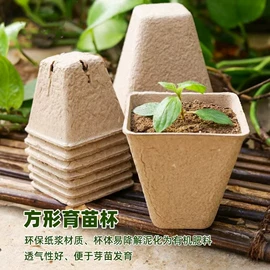 一次性餐盒;可降解餐具;一次性碗碟