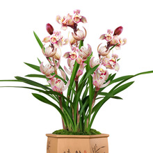 m߲ᭇFļm玧҃ȺBܾGֲƷNƷ