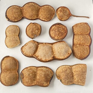 ����^�����}�ٴ��v����DIY���޳��ȿɐ����|�����Ѷ��v���ϰ�