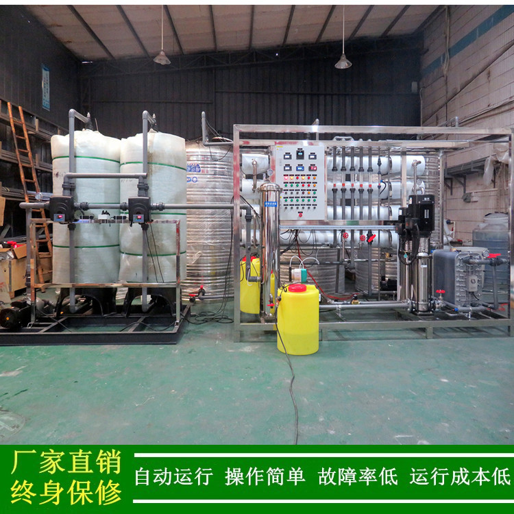 供应2t两极反渗透+EDI去离子纯水机无需再生超纯水系统10兆欧绿健