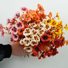 ɫϵɫ滨ٻ콁bRdTF؛ֱ