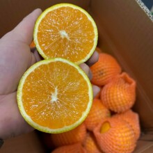 ���¼t���������w��tĚ�ȬFժ������֭����r�����r�������lˮ��