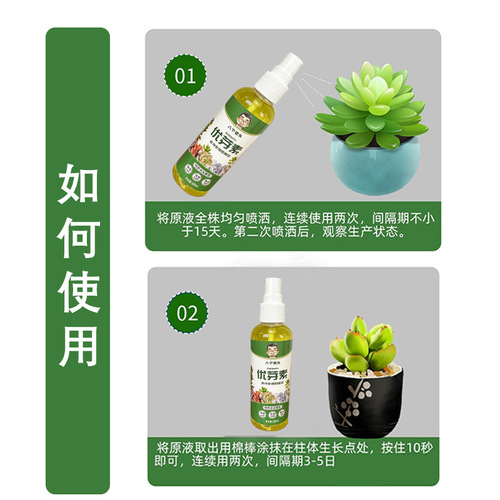 Eugerin, a general sprouting hormone for succulent plants that promotes budding, bursts buds, increases color and fattening plants, is produced directly by the manufacturer
