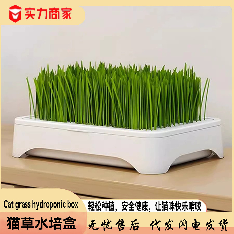 Soil-Free Hydroponic Cat Grass Potted Plant to Remove Hair Balls, Lazy People to Grow Cat Grass Seeds, Seedling Tray, Hair Balls, Cat Snacks
