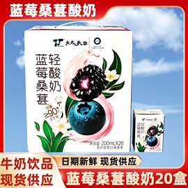 蓝莓桑葚酸奶200ml*20瓶装整箱批发学生儿童早餐奶过节送礼品饮料