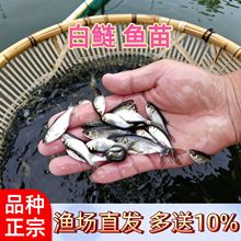 �����~�����Iˮ���������ӻ����~�絭ˮ�~����w���~���~�Ĵ���~