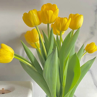 5�w������N��ˮ�����b����ƿ�ͺ��������ļ��Nֲ�L�������Ի���