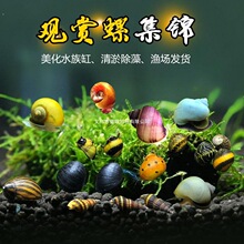 �^�p���O�������ݻ��w�����ݺڽ����ݲʵ����坍���幤����