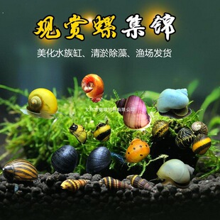 �^�p���O�������ݻ��w�����ݺڽ����ݲʵ����坍���幤����