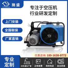 正压式空气呼吸器充气填充泵消防潜水活塞式高压空气压缩机30MPa