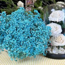 ����ֱ�������������Ǹɻ����������ֹ�diy������Ȼ��ɿ����廨
