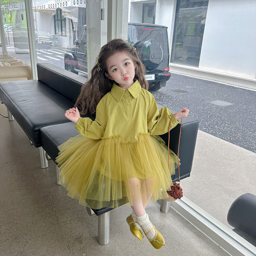 New Spring and Autumn Dresses for Girls  New Fashionable and Stylish Net Dress 