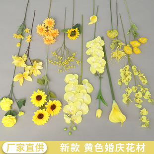 �Sɫ���滨��Y�������üٻ��Sɫĵ���ٺϸ߼��мҾ��b������l