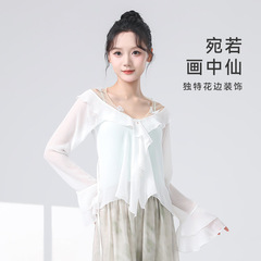 現代のダンス服の女性の夏の新型の蝶のネットのガーゼの長袖の韻の古典的なダンスの練習服の公演服の上着