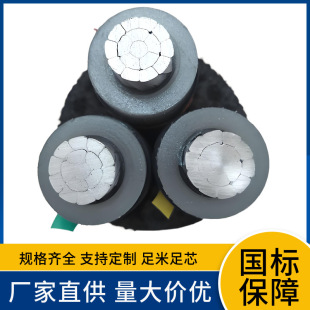 Դ�^�S��ZCYJLV22 12/20KV�Xо��ȼ�Љ������| ��̖ȫ Ҏ���