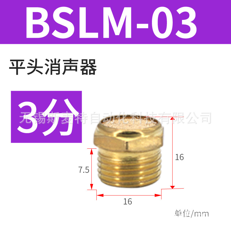 ֱͭ ƽͷBSLM-01/02ŷ 