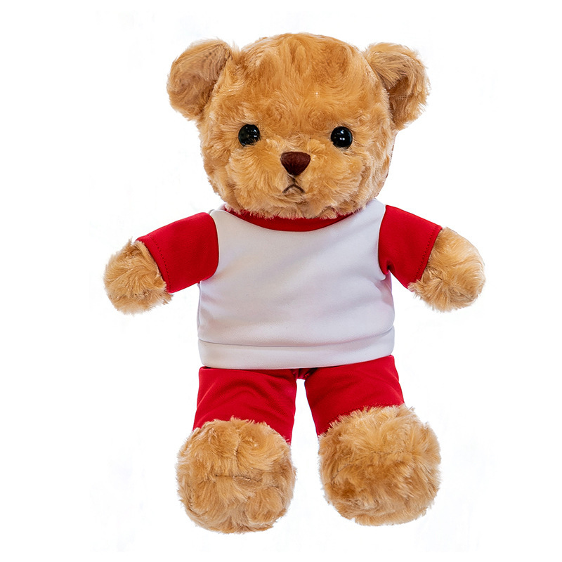 Oso personalizado logotipo impresa emblema de la escuela Nombre de clase estudiante Teddy Bear Dr. Bear Regalo de apertura