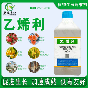 �Ϻ��A�x��ϩ����Ƥ���҄�Ƥ�J����â���㽶���섩�{�����rș500g