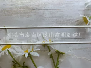 3mm 实心 口罩绳 圆形  油心带 内衣服装辅料 白黑色 松紧带