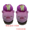 Winter cartoon cute slippers indoor, Korean style